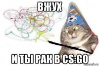 вжух и ты рак в cs:go