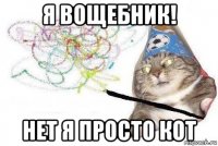 я вощебник! нет я просто кот