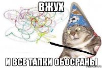 вжух и все тапки обосраны