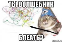 ты волшебник блеать?