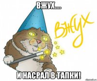 вжух.... и насрал в тапки!