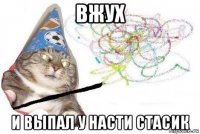 вжух и выпал у насти стасик