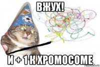 вжух! и + 1 к хромосоме