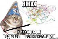 вжух и нихуя ты не подготовишься к экзаменам