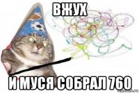 вжух и муся собрал 760