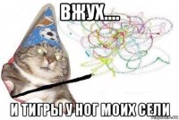 вжух.... и тигры у ног моих сели