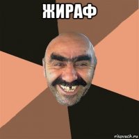 жираф 