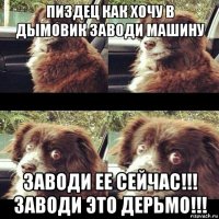 пиздец как хочу в дымовик заводи машину заводи ее сейчас!!! заводи это дерьмо!!!