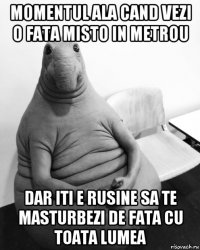 momentul ala cand vezi o fata misto in metrou dar iti e rusine sa te masturbezi de fata cu toata lumea