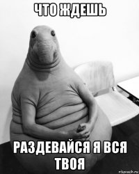 что ждешь раздевайся я вся твоя