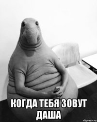  когда тебя зовут даша