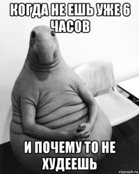 когда не ешь уже 6 часов и почему то не худеешь