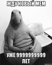 жду новый мем уже 9999999999 лет