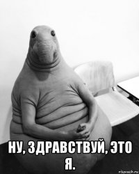  ну, здравствуй, это я.