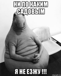 ни по каким садовым я не езжу !!!