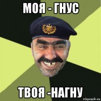 моя - гнус твоя -нагну