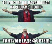 то чувство когда услышал из рекламы песню тантум верде форте!!!