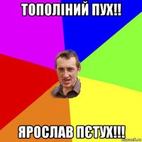 тополіний пух!! ярослав пєтух!!!