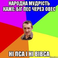 народна мудрість каже: біг пес через овес ні пса і ні вівса