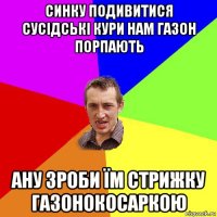 синку подивитися сусідські кури нам газон порпають ану зроби їм стрижку газонокосаркою