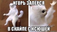 игорь заперся в скайпе с ксюшей