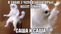 я знаю 2 человекачоторые несут хуйню саша и саша