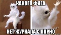 какого фига нет журнала с порно