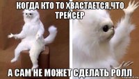 когда кто то хвастается,что трейсер а сам не может сделать ролл