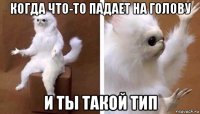 когда что-то падает на голову и ты такой тип