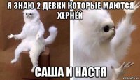 я знаю 2 девки которые маются хернёй саша и настя