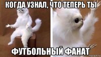 когда узнал, что теперь ты футбольный фанат