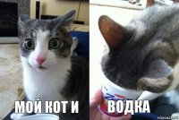 мой кот и ВОДКА