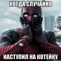 когда случайно наступил на котейку