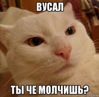 вусал ты че молчишь?