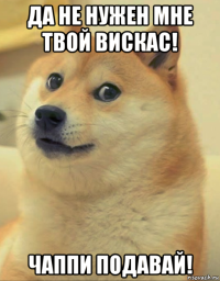 да не нужен мне твой вискас! чаппи подавай!