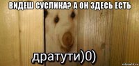 видеш суслика? а он здесь есть 