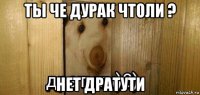 ты че дурак чтоли ? нет дратути