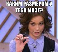 каким размером у тебя мозг? 