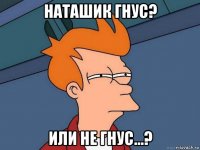 наташик гнус? или не гнус...?