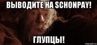 выводите на schonpay! глупцы!