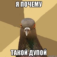 я почему такой дупой