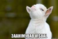  заанімував visual