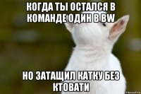 когда ты остался в команде один в bw но затащил катку без ктовати