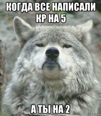 когда все написали кр на 5 а ты на 2