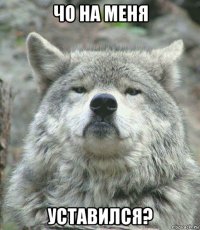 чо на меня уставился?