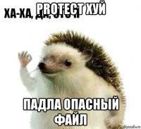 protect хуй падла опасный файл