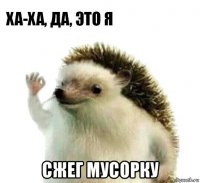  сжег мусорку