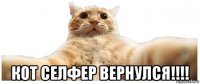  кот селфер вернулся!!!!