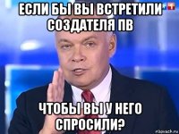 если бы вы встретили создателя пв чтобы вы у него спросили?