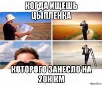 когда ищешь цыпленка которого занесло на 20к км